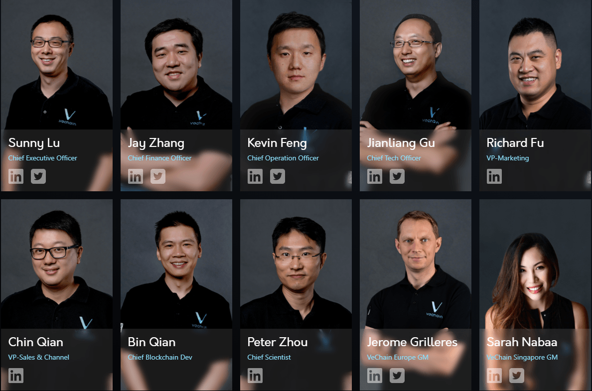 The Vechain Core Team